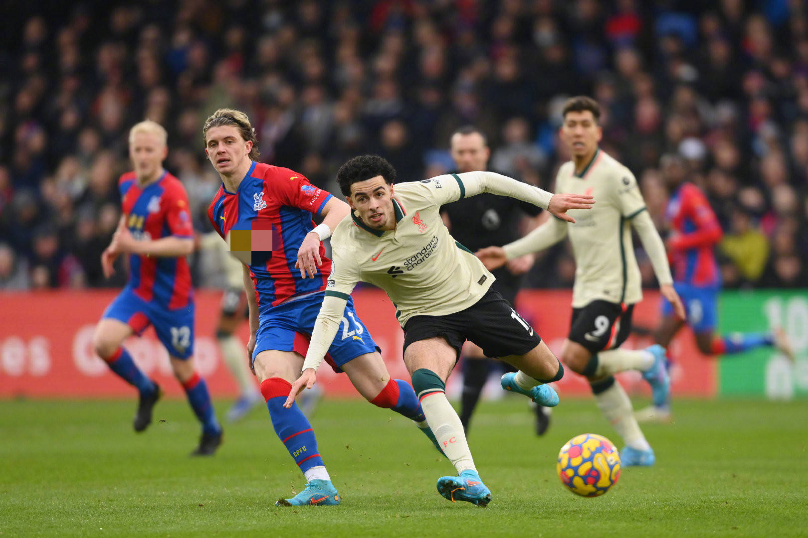 韩国球员朴 韩国球员朴